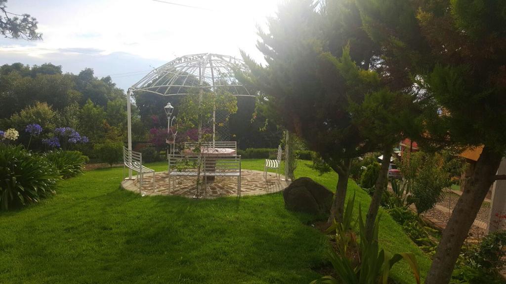 Villa Cabanas En Mazamitla Betito Extérieur photo